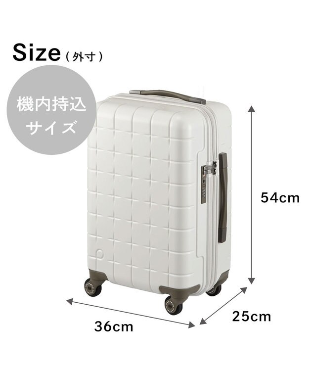 ACE BAGS & LUGGAGE Proteca 360G4 スーツケース 日本製 機内持ち込み 38L 02421 プロテカ ウォームグレー