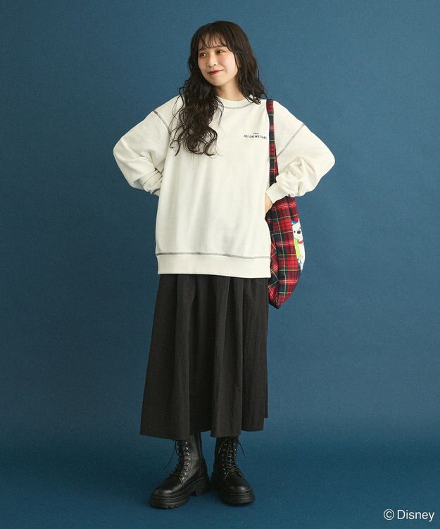 Green Parks １０１匹わんちゃん／チェック柄トートバッグ Red