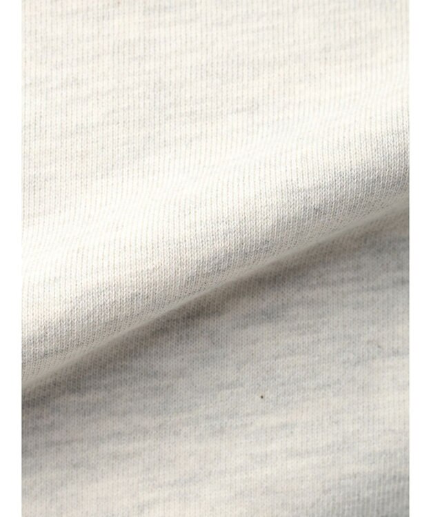 Green Parks ＬＡＰＰＹ／フォトプリントスウェットII Light Gray Mixture