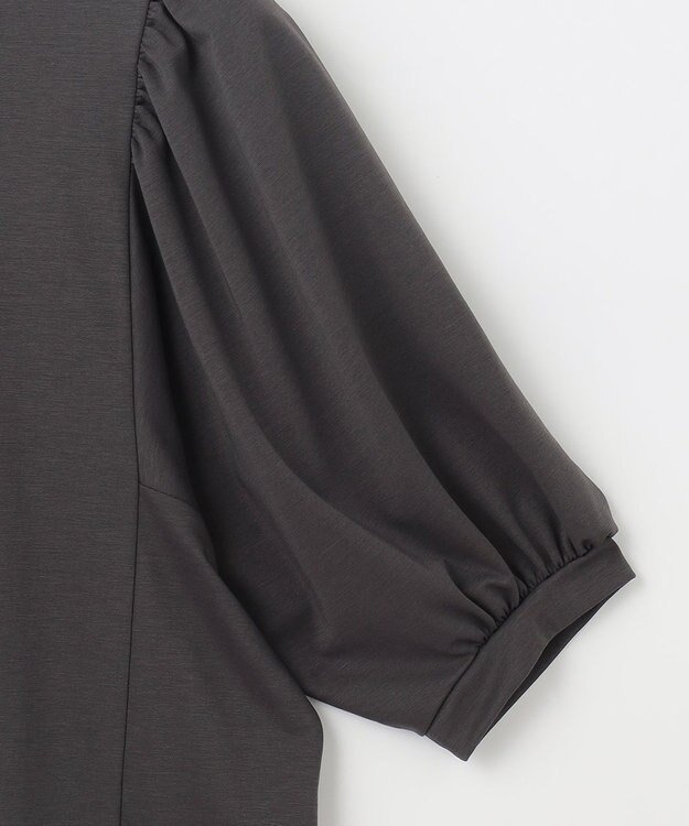 自由区 【洗える・XSサイズあり】ハイツイストポンチボリューム袖 カットソー グレー系