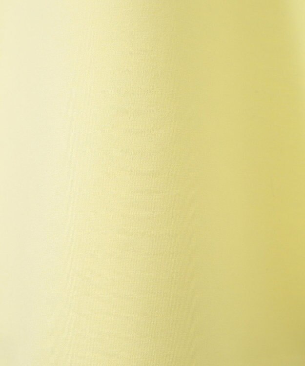 AMERICAN HOLIC フーディーポンチプルオーバー Light Yellow