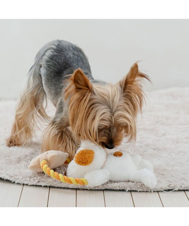 PET PARADISE スヌーピー アンディ ロープトイ アンディ