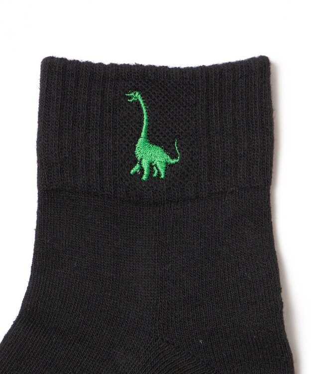 WEGO ダイナソー刺繍アンクルソックス 柄4