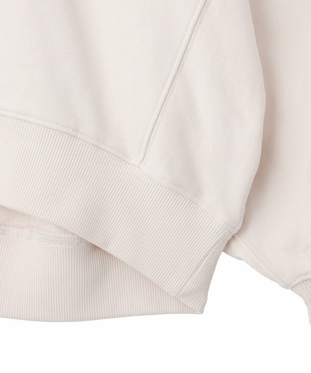 AMERICAN HOLIC カレッジロゴドルマンスウェット Ivory