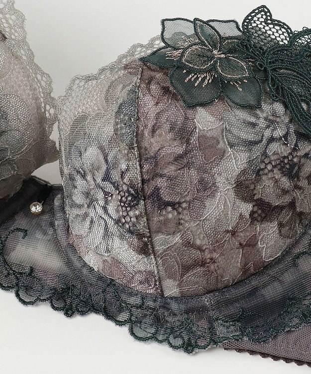 Wing ブラジャー Wing Lesiage サイドすっきり しっかりフィット 【2900シリーズ】 ブラ PB2900 ウイング／ワコール ダークブラウン