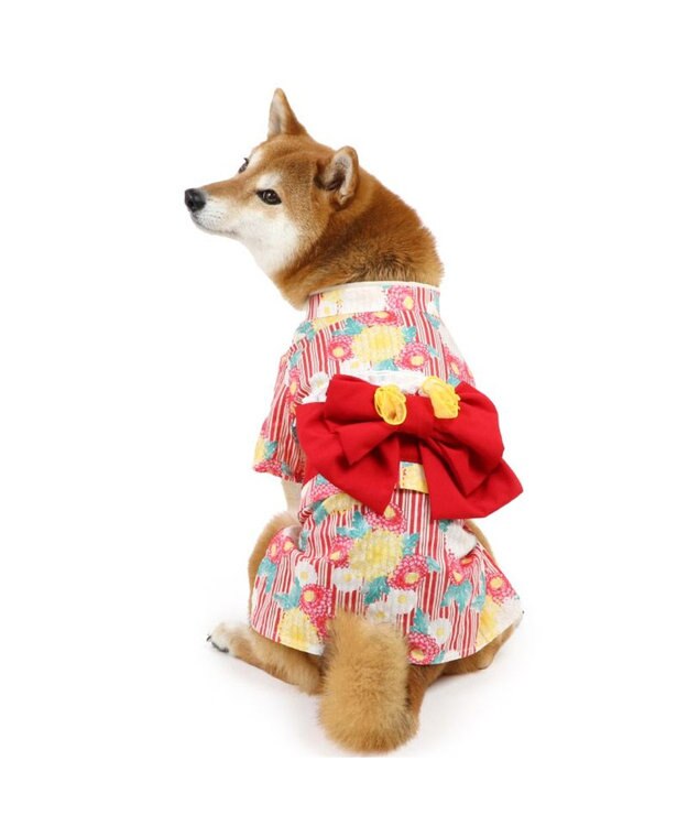 PET PARADISE ペットパラダイス 浴衣 《菊柄》  中型犬 大型犬 菊柄