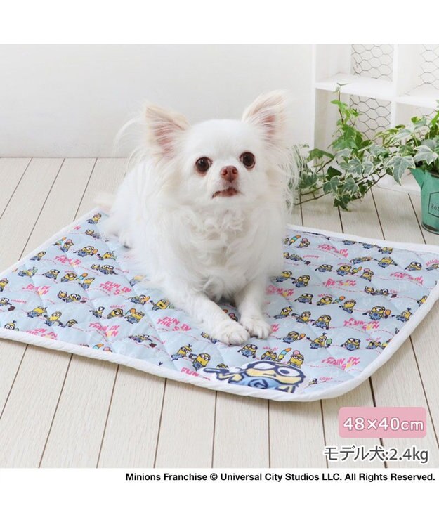 PET PARADISE ミニオン 冷感柔らかマット 《アイス柄》 Ｓ ライトブルー