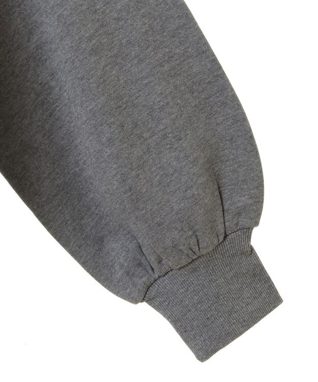 AMERICAN HOLIC ＣＯＹＲＡＧＥフロッキーロングスウェット3 Gray Mixture