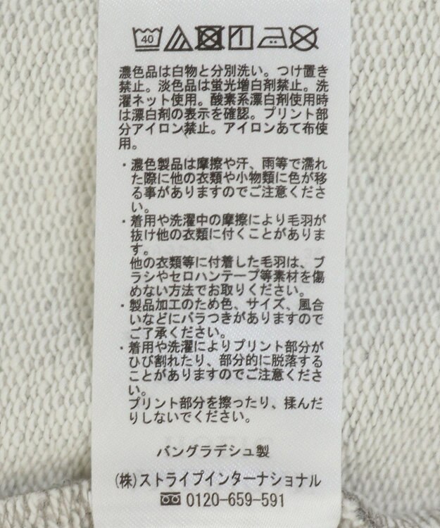 AMERICAN HOLIC ＣＯＹＲＡＧＥフロッキーロングスウェット3 Gray Mixture