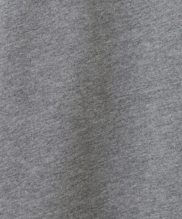 AMERICAN HOLIC ＣＯＹＲＡＧＥフロッキーロングスウェット3 Gray Mixture