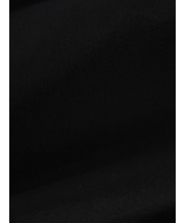 CRAFT STANDARD BOUTIQUE ウ゛ィンテージ風天竺　フロッキークラックＰＴ　ＯＰ　 Black