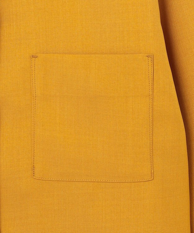 J.PRESS YORK STREET 【WOMEN】バックプリーツブラウス イエロー系