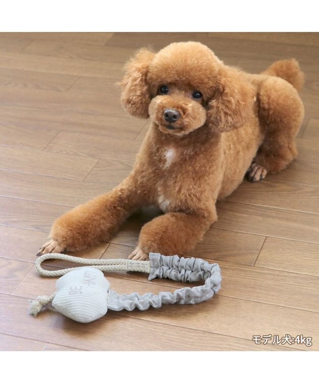 PET PARADISE ペットパラダイス 引っ張り トイ 《雲/星》 雲