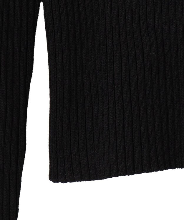 WEGO リブハイネックショートニット ブラック