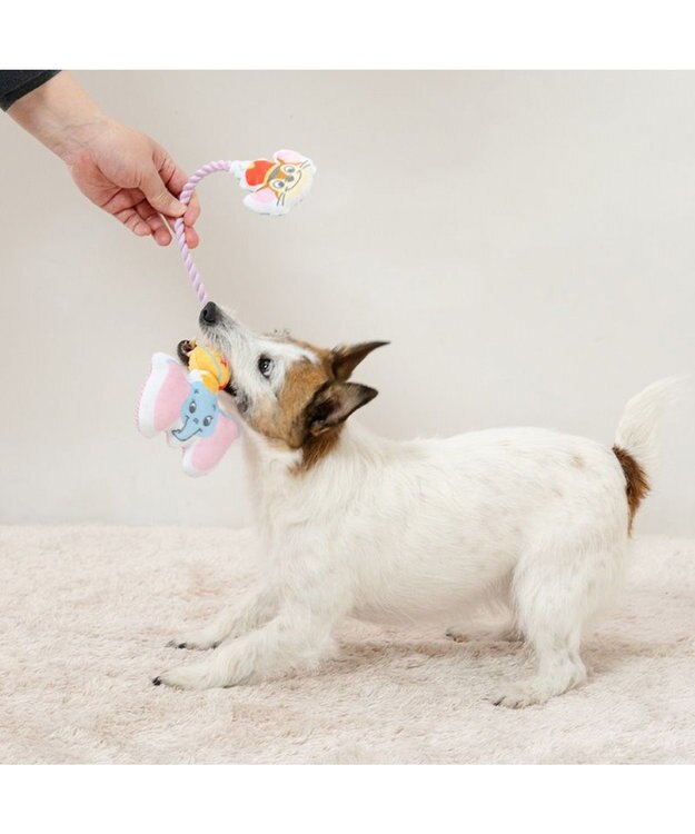 PET PARADISE ディズニー ダンボ ＆ティモシー  ロープトイ その他