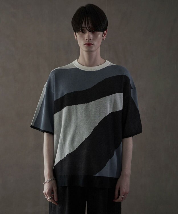 WEGO ジャガードニットT（SS） 柄1