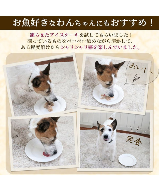 PET PARADISE 【24個セット】 猫缶 まとめ買い キャットフード まぐろほぐし 75g×24  《しらす/ 紅鮭 /ほたて》 しらす入り