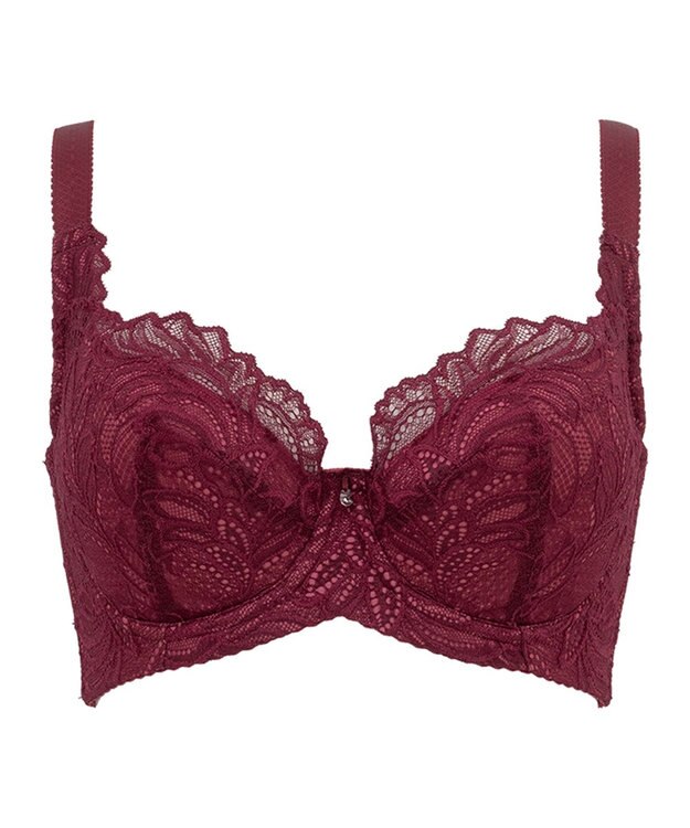 BRADELIS New York 【BRADELIS New York】サポートバックラインブラ23A1 グラマーバストをスッキリさせる補正ブラ ボルドー