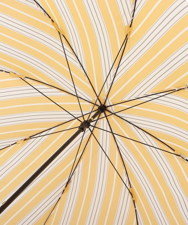 MOONBAT POLO RALPH LAUREN(ポロ ラルフローレン) 長傘 ソフトストライプ ポロポニー ワンポイント レモンイエロー