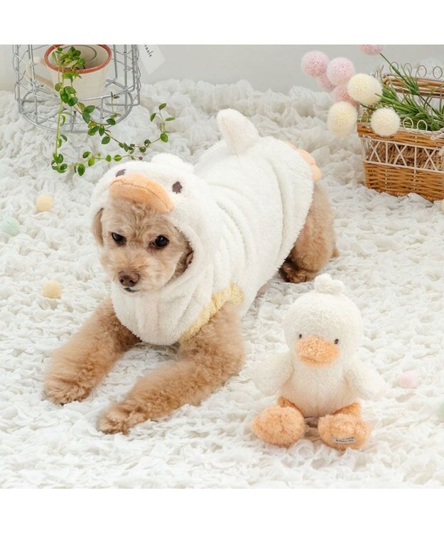PET PARADISE ペットパラダイス 白あひるさん パーカー 小型犬 ホワイト