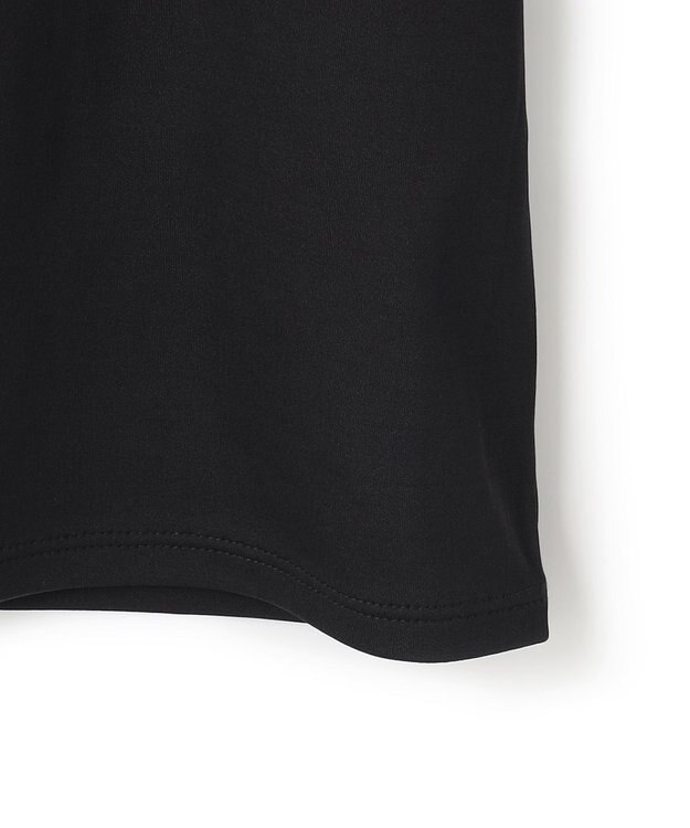 ICB L 【洗える】 PlaXフィラメントジャージー シアーコンビカットソー ブラック系