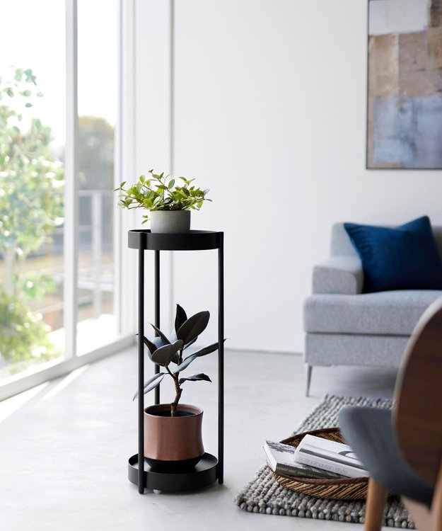 GINZO THE STAND スタンド 箱付き 銀蔵 トライリス 2個セット