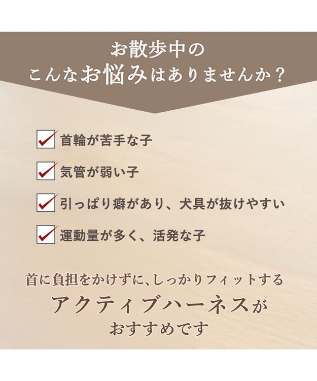 PET PARADISE ペットパラダイス くまちゃん アクティブハーネス Ｓ 小型犬 ベージュ