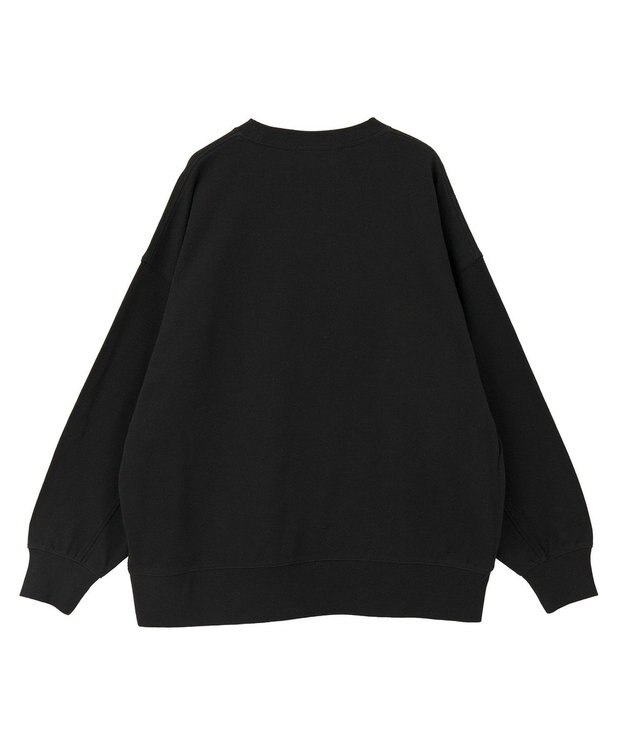 AMERICAN HOLIC ハンドストロークフォト裏毛プルオーバー Black