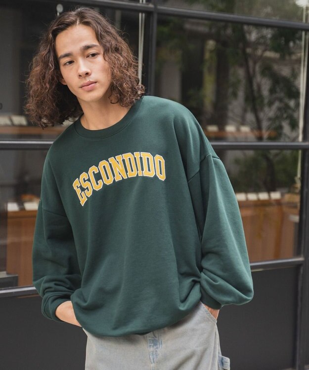 WEGO ヘビーウエイト刺繍グラフィックプルオーバー ダークグリーン