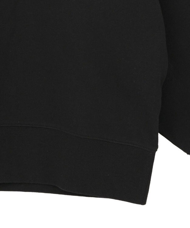 AMERICAN HOLIC ハンドストロークフォト裏毛プルオーバー Black