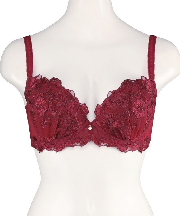 San-ai Resort（三愛水着楽園） エレガントコレクション【2411】単品ブラEFGカップ 【northerly】 レッド