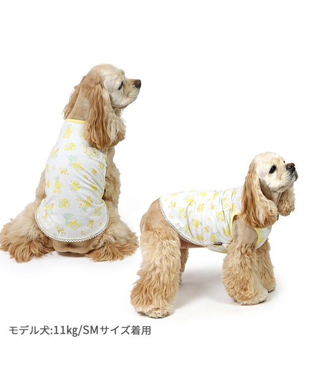 PET PARADISE ペットパラダイス はじめてタンクトップ 《ミモザ柄》 中型犬 大型犬 ミモザ柄