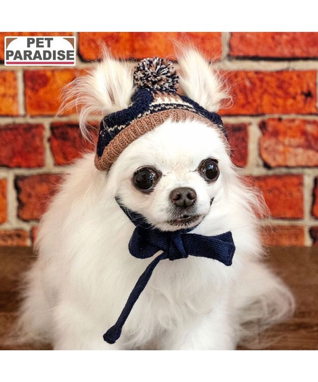 PET PARADISE ペットパラダイス ボンボン付き 男の子 ニット帽子 小型犬 ４Ｓ～３Ｓ/ＳＳ～Ｓ ブラック