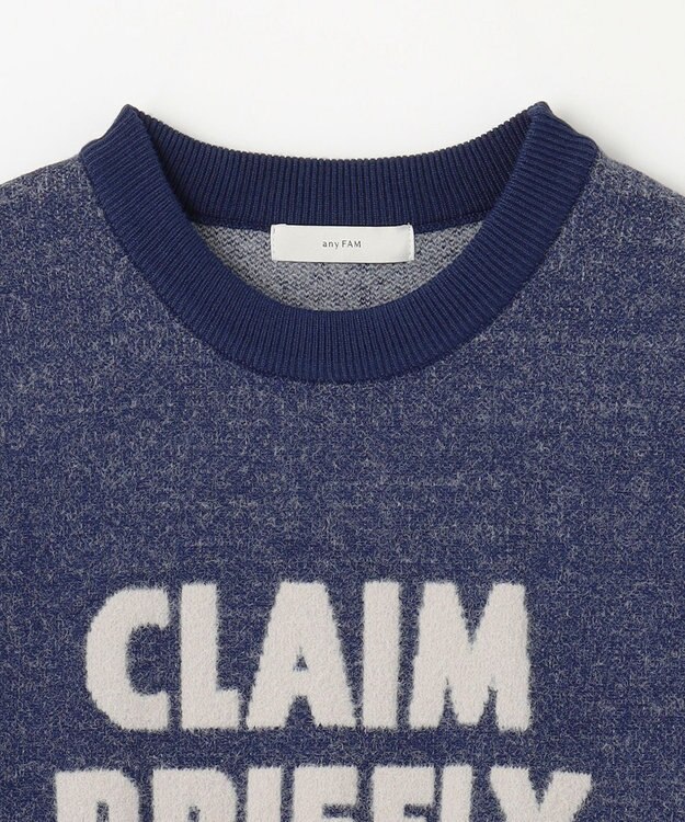 ANY スウェットライクフェザーロゴニット ブルー×グレー