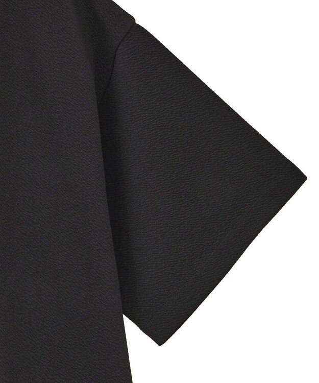 AMERICAN HOLIC ジョーゼット半袖プルオーバー Black