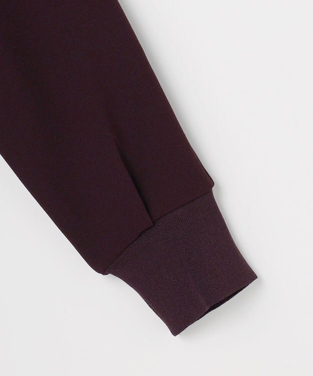 J.PRESS LADIES ジョーゼットダンボール ボトルネック カットソー パープル系