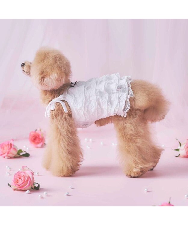 PET PARADISE cherircouture ホワイトローズ キャミソール 小型犬 ホワイト