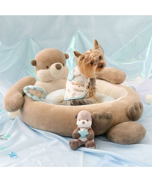 PET PARADISE ペットパラダイス 貝殻 クール トイ ブルー