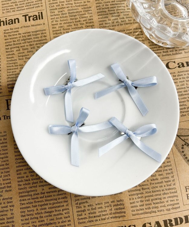 WEGO L4Pミニリボンクリップ サックス