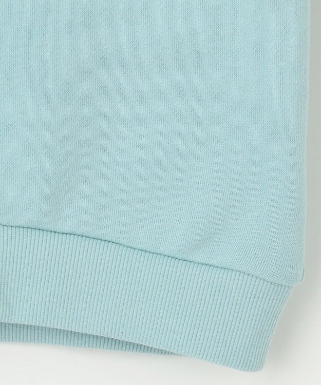 ANY KIDS 【らくっトレーナー】アニマル 裏毛 サガラ刺しゅう トレーナー エメラルドグリーン（イヌ）