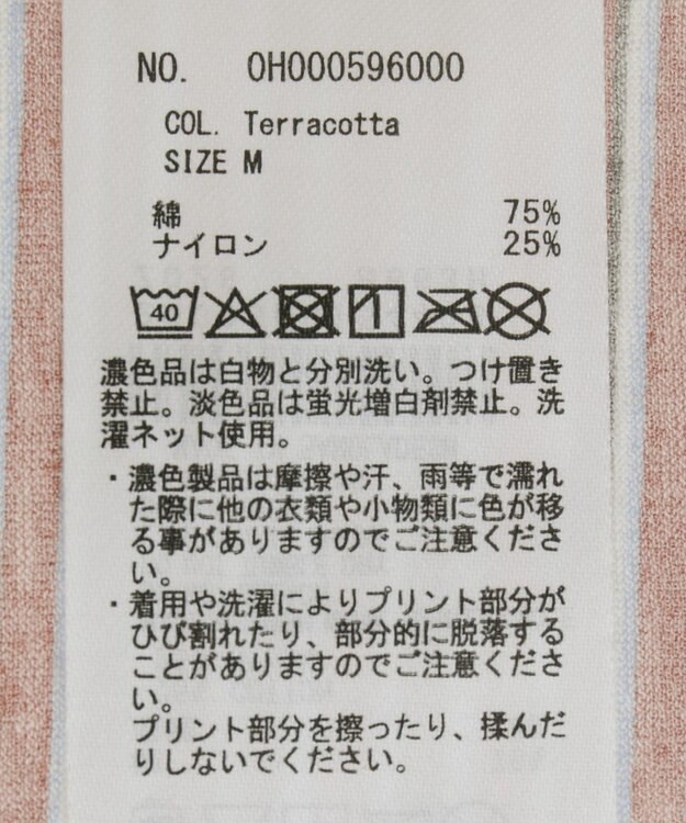 AMERICAN HOLIC シアーレトロボーダー半袖プルオーバー Terracotta