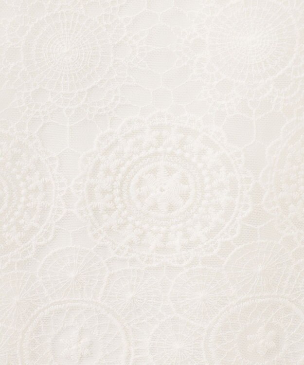 ANY SIS 【洗える】レイヤードレース ブラウス ホワイト系