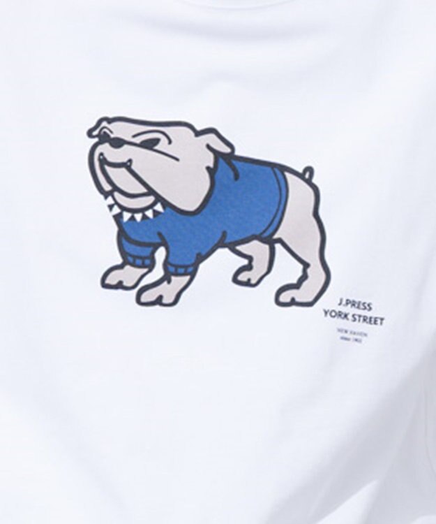 ONWARD Reuse Park メンズ商品【J.PRESS MEN】カットソー春夏 ホワイト