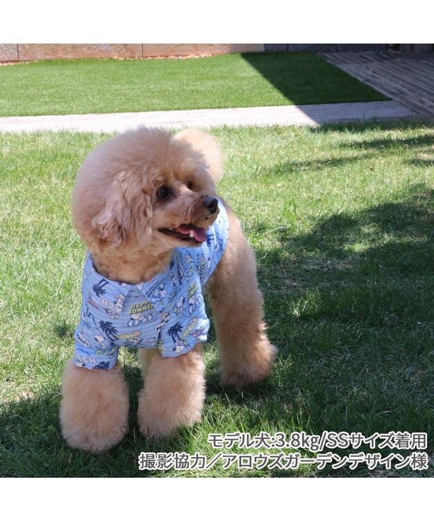PET PARADISE スヌーピー アロハシャツ 《バケーション柄》 小型犬 バケーション柄