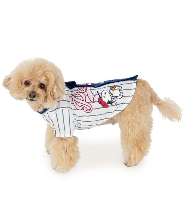 PET PARADISE スヌーピー ベースボールＴシャツ 小型犬 ホワイト×ネイビー