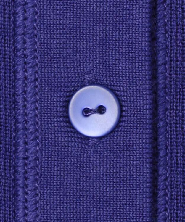 ICB 【洗える】 エクストラファインメリノ ヘンリーネックプルオーバー ロイヤルブルー系