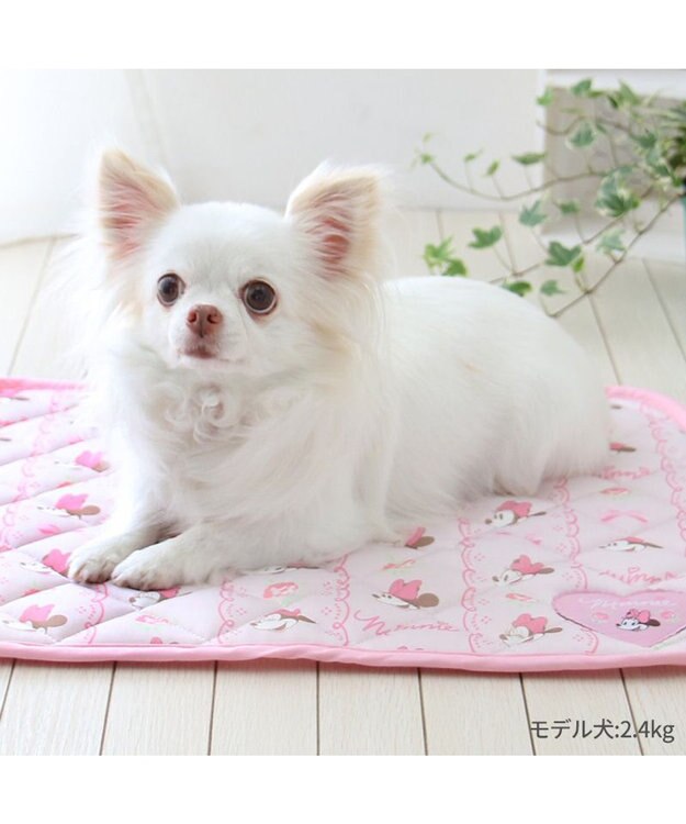 PET PARADISE ディズニー ミニーマウス レース クール マット 小型犬 48×40㎝ ピンク