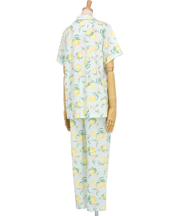 Wing パジャマ 綿100%(本体) 天竺素材 5分袖 半袖 長ズボン レディース EP8046 ウイング／ワコール メロン