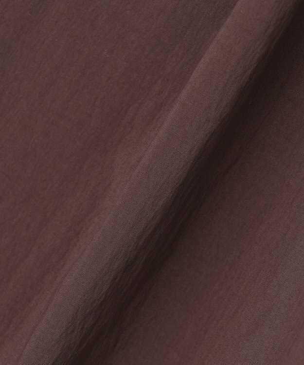 ANY L 撥水ナイロンカーゴパンツ ブラウン