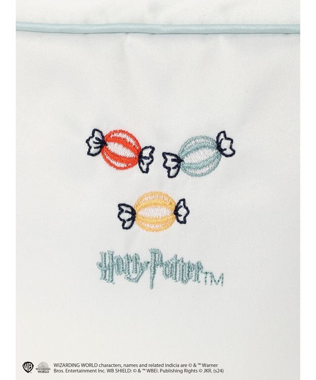 Green Parks ハリーポッター／スクエアポーチ Blue